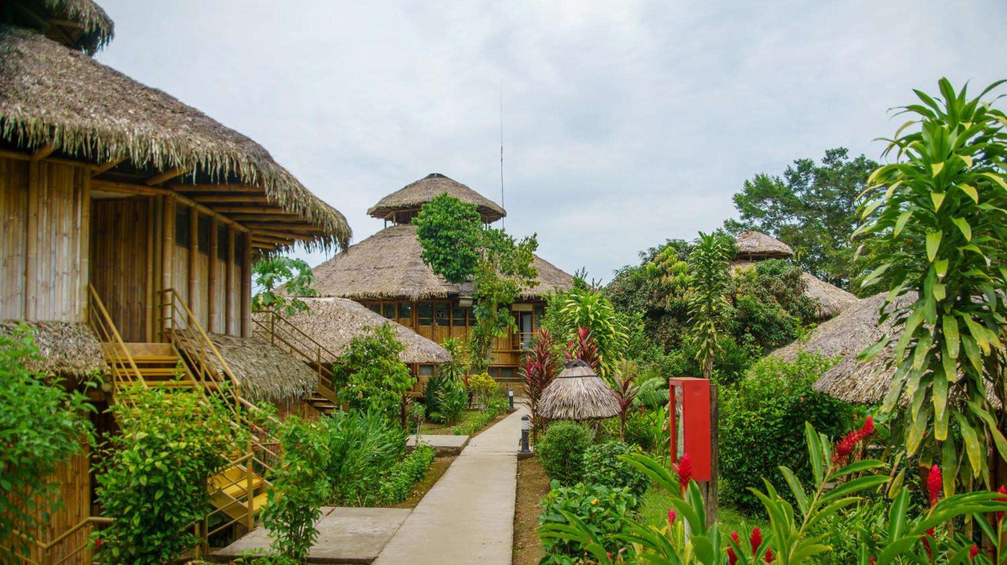 La Selva Eco-Lodge & Retreat Providencia エクステリア 写真