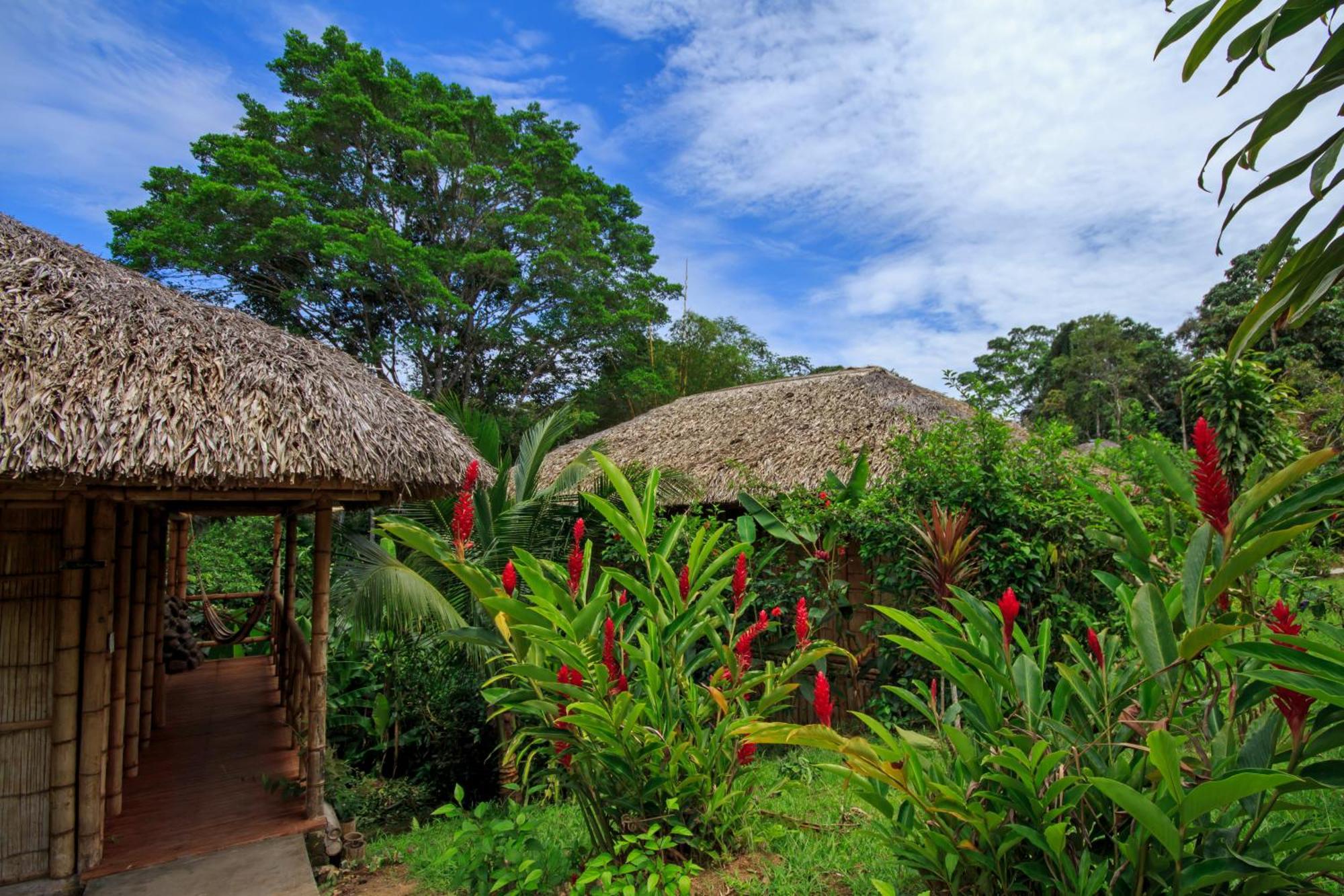 La Selva Eco-Lodge & Retreat Providencia エクステリア 写真