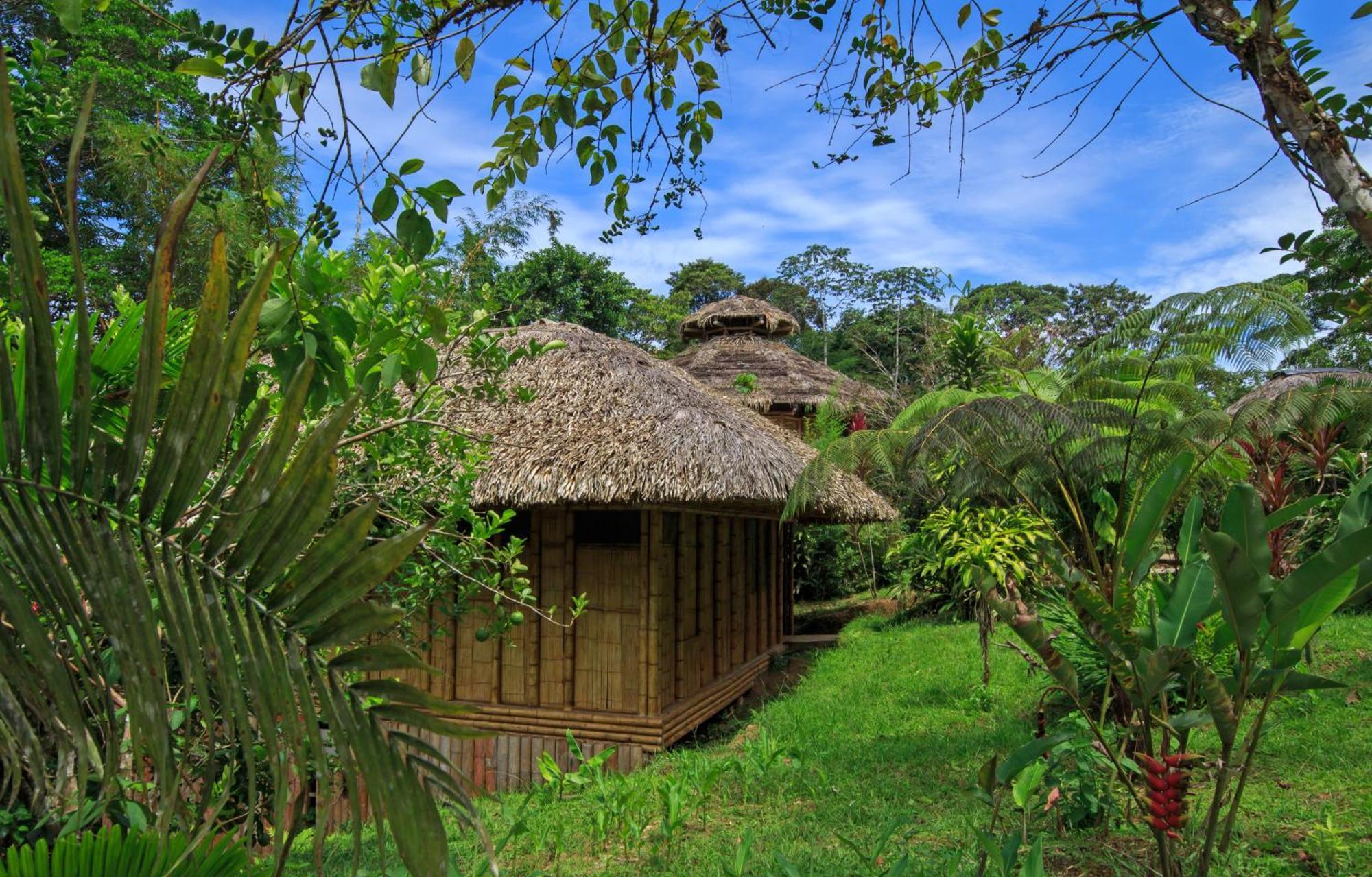 La Selva Eco-Lodge & Retreat Providencia エクステリア 写真