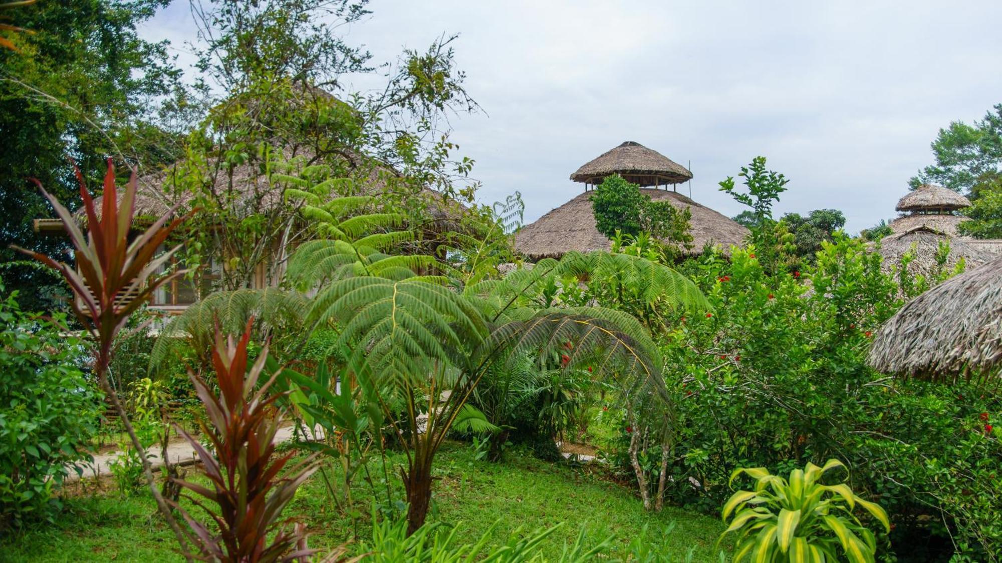 La Selva Eco-Lodge & Retreat Providencia エクステリア 写真