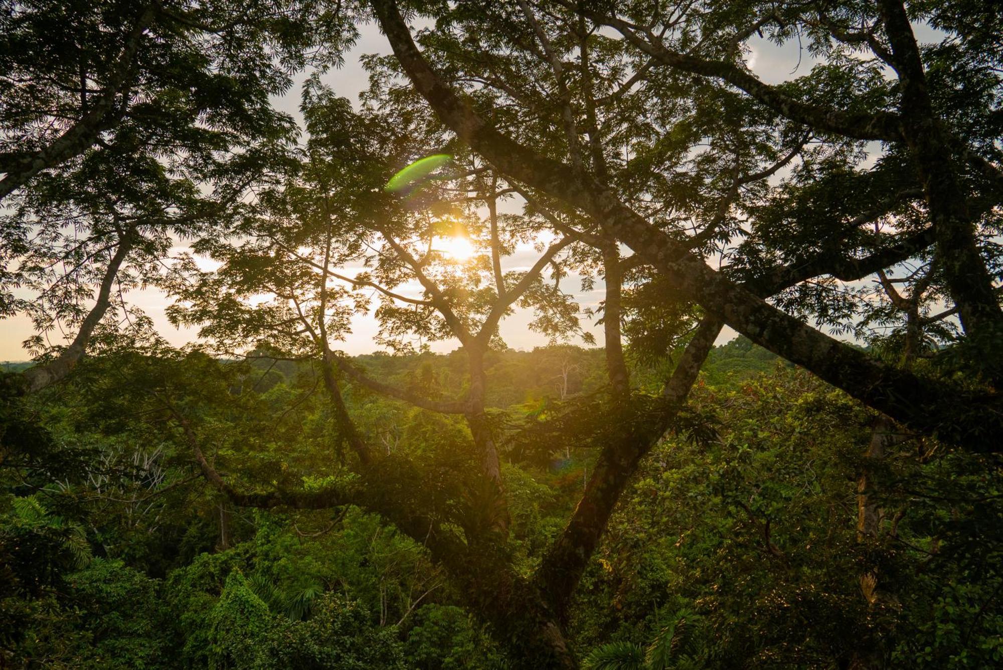 La Selva Eco-Lodge & Retreat Providencia エクステリア 写真