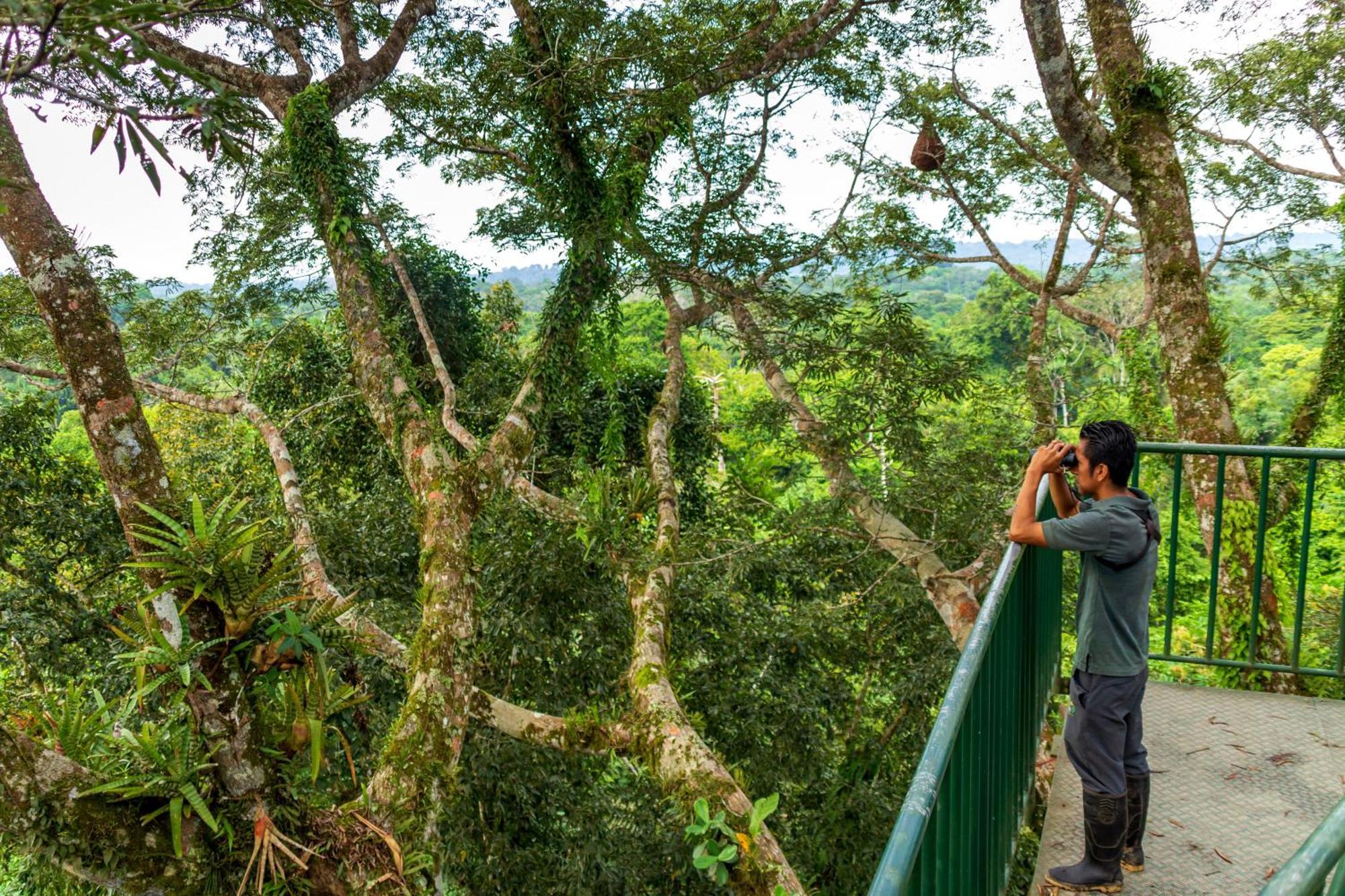La Selva Eco-Lodge & Retreat Providencia エクステリア 写真