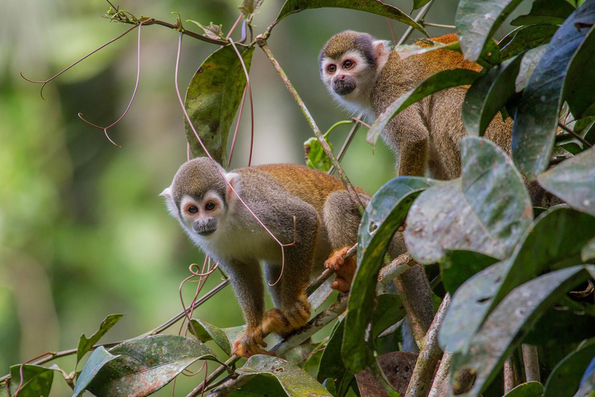 La Selva Eco-Lodge & Retreat Providencia エクステリア 写真
